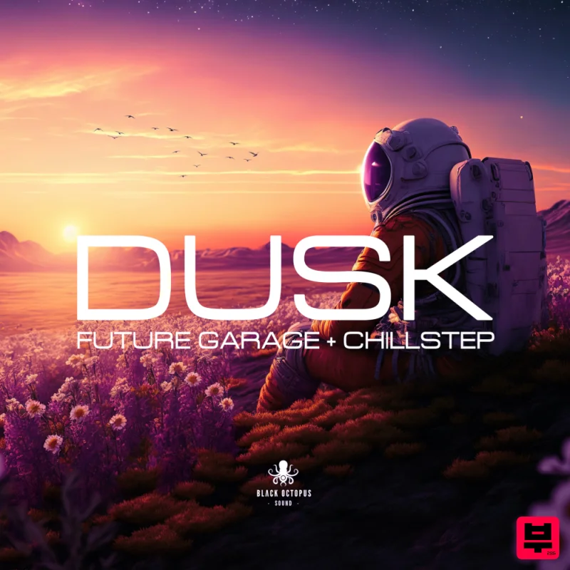 Black Octopus Dusk - Future Garage & Chillstep - Professional Music Instrument Photo