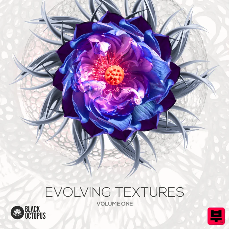 Black Octopus Evolving Textures - Professional Music Instrument Photo