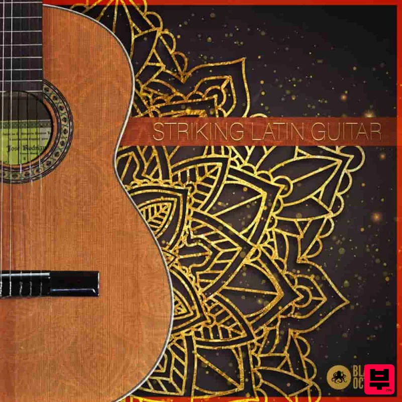 Black Octopus Striking Latin Guitar - Professional Music Instrument Photo