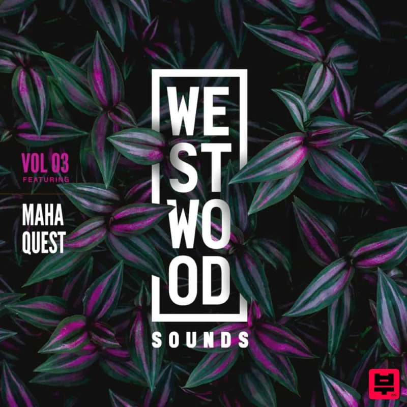 Black Octopus Westwood Sounds Vol 3 - Maha Quest - EDM