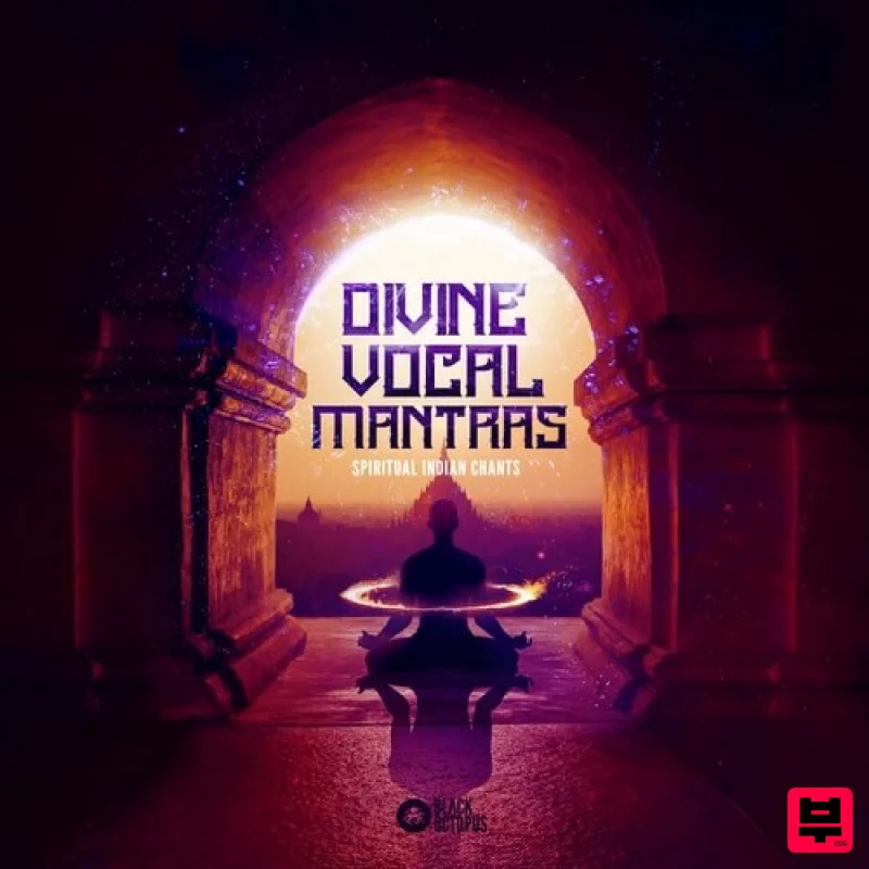 Black Octopus KV Balakrishnan - Divine Vocal Mantras - Professional Music Instrument Photo