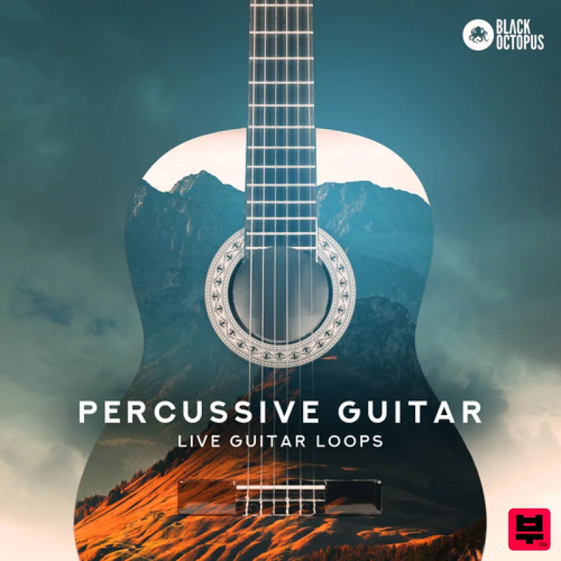 Black Octopus Percussive Guitar - Chillout