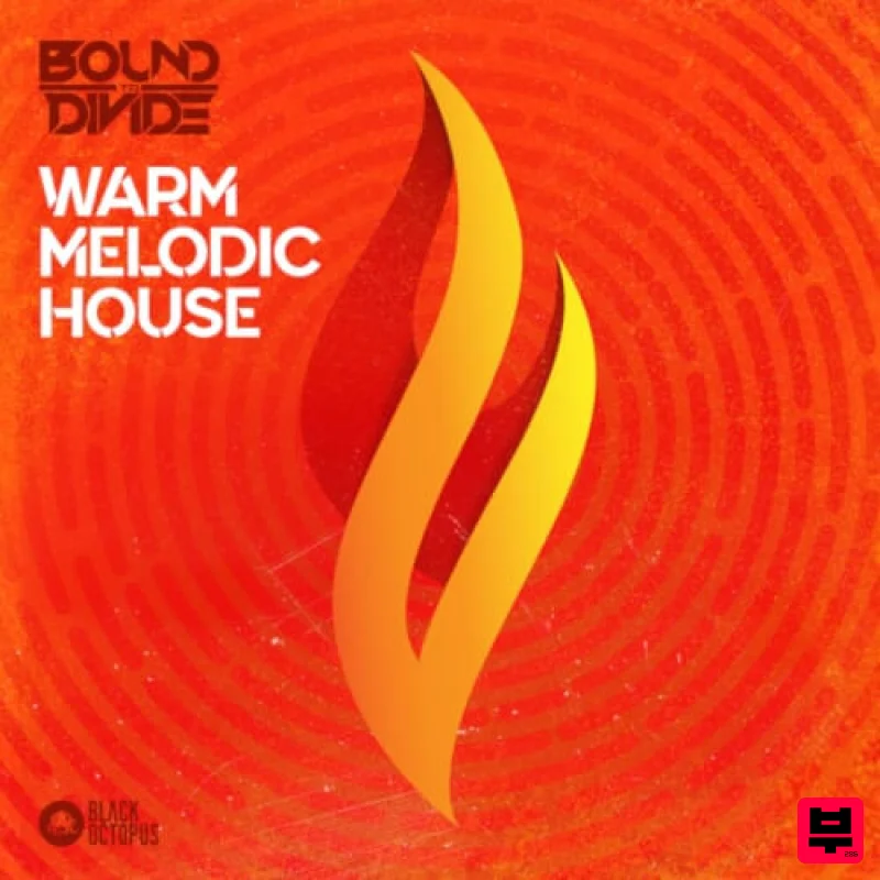 Black Octopus Warm Melodic House by Bound To Divide - House