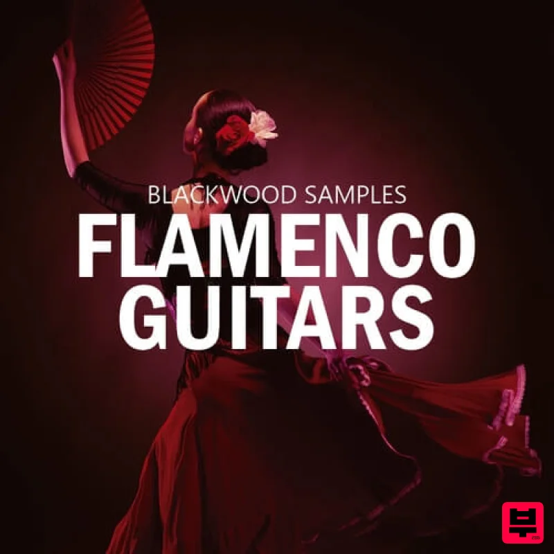 Blackwood Samples Flamenco Guitar Vol 1 - World Sounds