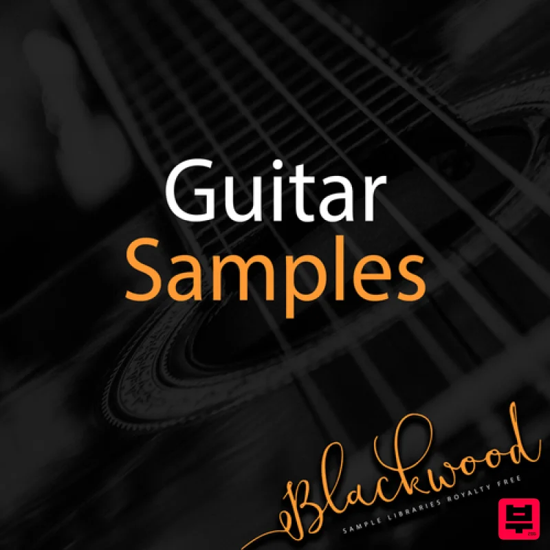 Blackwood Samples Guitar Samples - Professional Music Instrument Photo