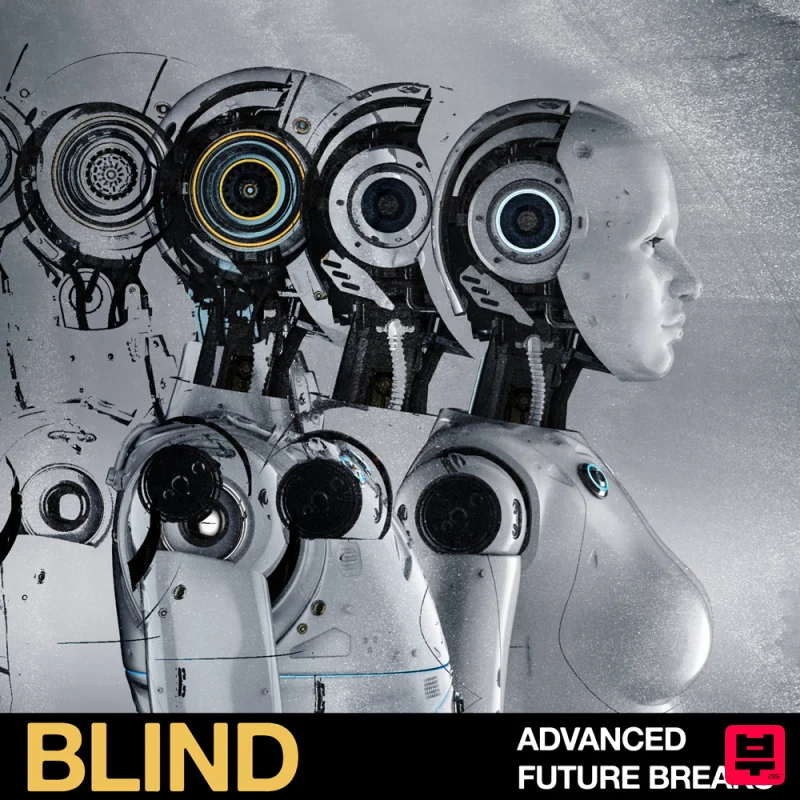 Blind Audio Advanced Future Breaks - Breaks