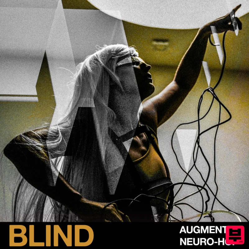 Blind Audio Augmented Neuro-Hop - Bass Music