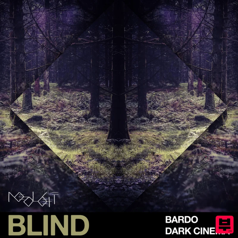 Blind Audio Bardo - Dark Cinema - Professional Music Instrument Photo