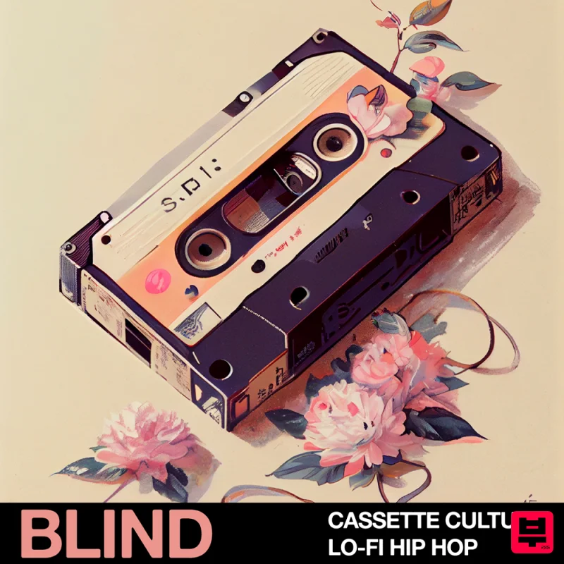 Blind Audio Cassette Culture - Lo-Fi Hip Hop - Professional Music Instrument Photo