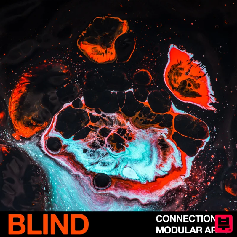 Blind Audio Connection - Modular Arps - House