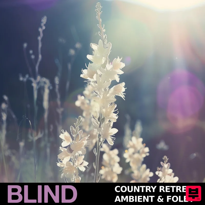 Blind Audio Country Retreat - Ambient & Foley - Cinematic