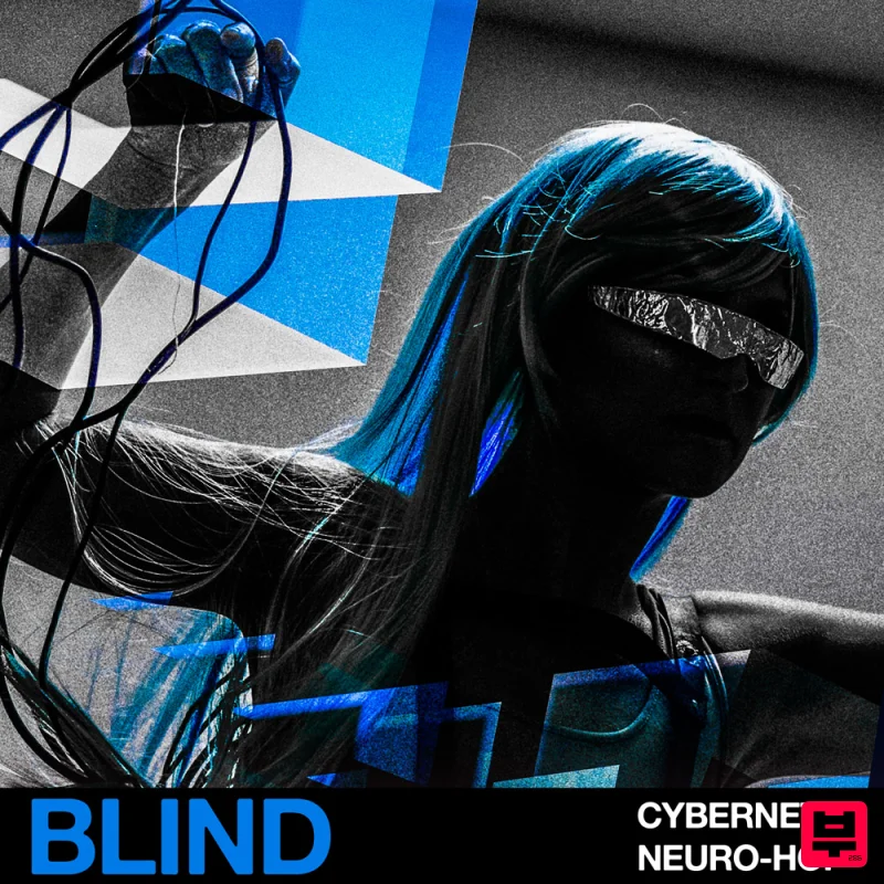 Blind Audio Cybernetic Neuro-Hop - Bass Music
