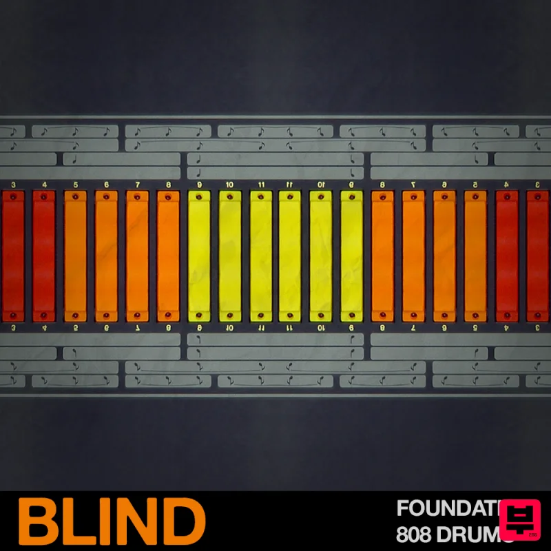 Blind Audio Foundation - 808 Drums - House