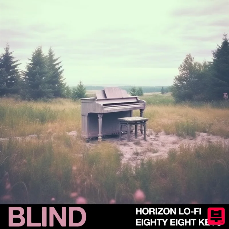Blind Audio Horizon Lo-Fi - Eighty Eight Keys - Professional Music Instrument Photo