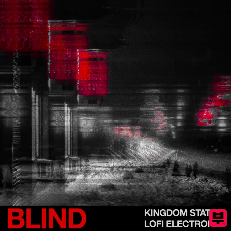 Blind Audio Kingdom Static - Lofi Electronic - Professional Music Instrument Photo