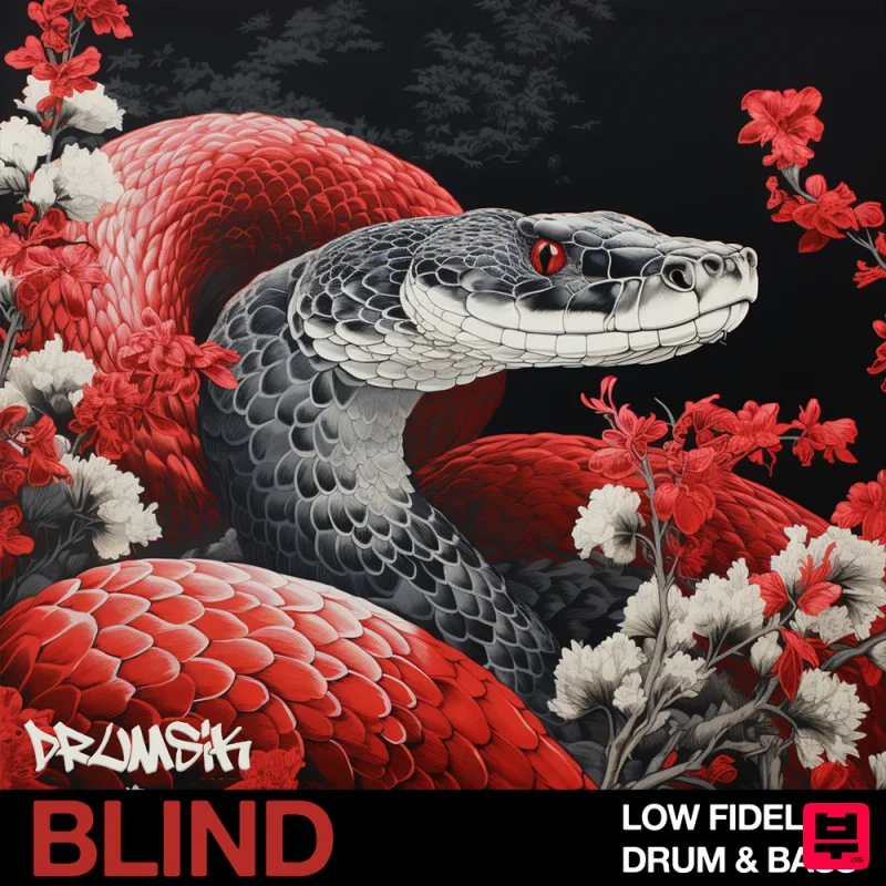 Blind Audio Low Fidelity Drum & Bass - Drum and Bass