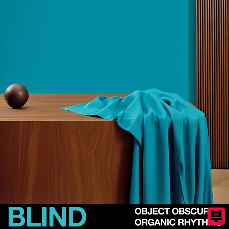 Blind Audio Object Obscura - Organic Rhythms - House