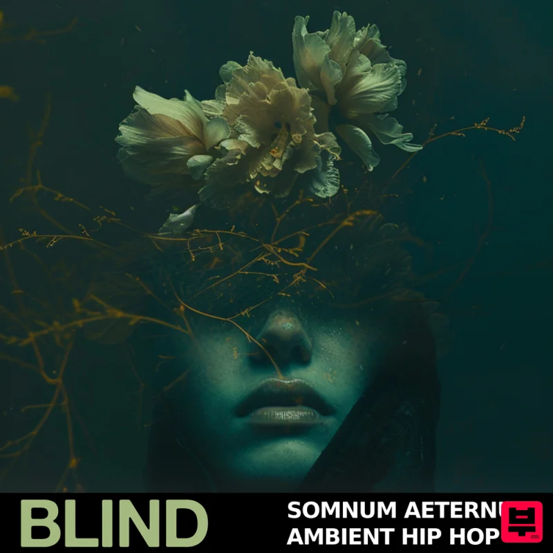Blind Audio Somnum Aeternum - Ambient Hip Hop - Hip Hop