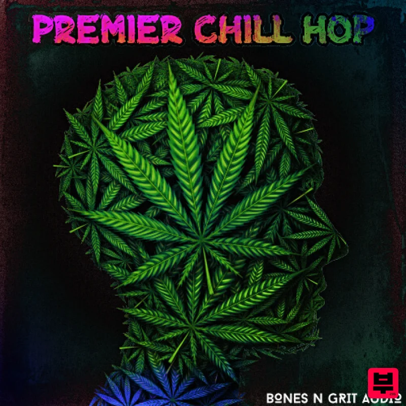 Bones N Grit Audio Premier Chill Hop - Hip Hop