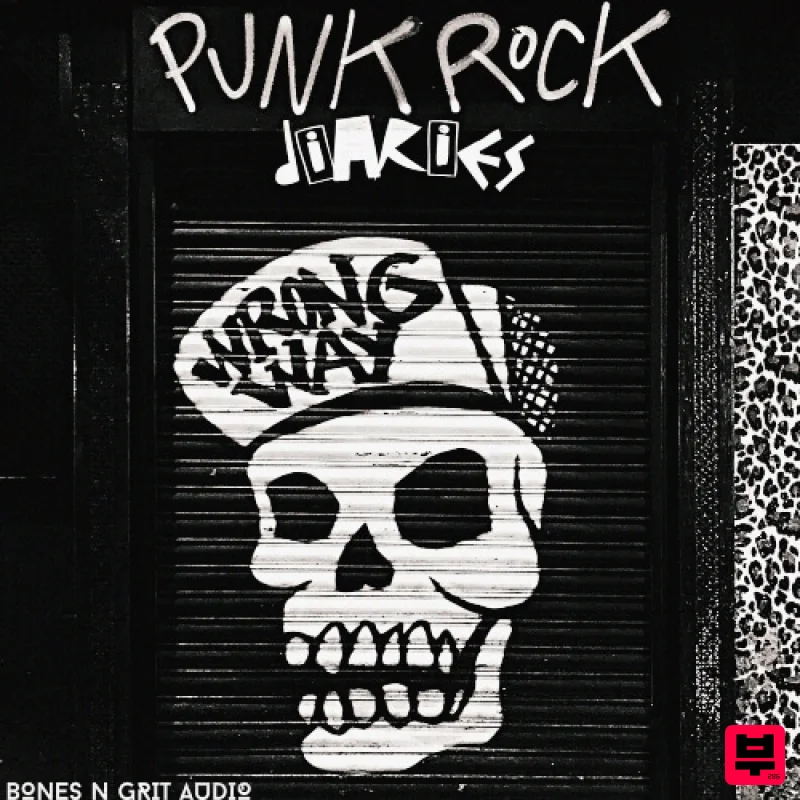 Bones N Grit Audio Punk Rock Diaries - Rock