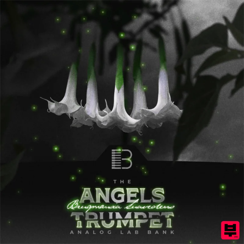 Brandon Chapa Angels Trumpet - Analog Labs Bank - R&B