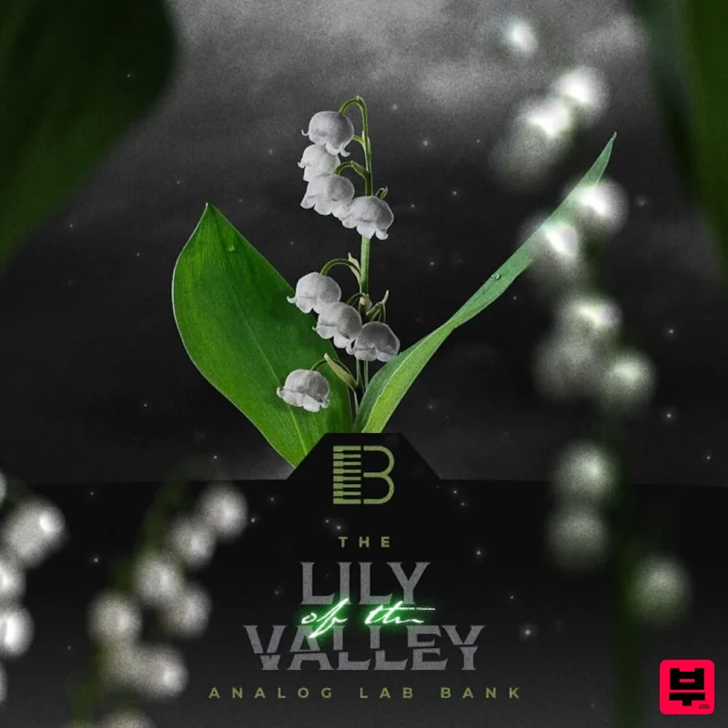 Brandon Chapa Lily Of The Valley (Analog Labs Bank) - Hip Hop