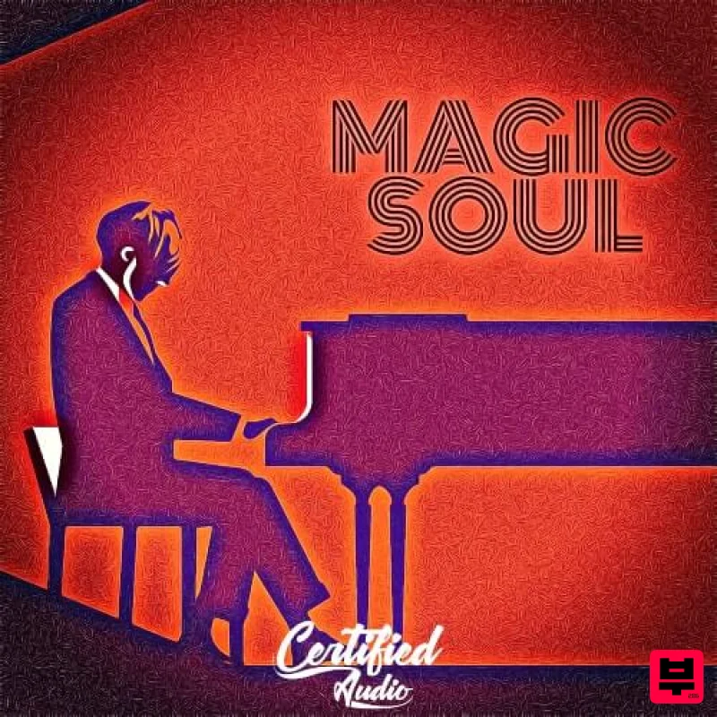 Certified Audio Magic Soul - Professional Music Instrument Photo