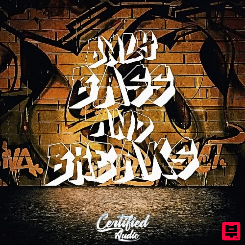 Certified Audio Only Bass And Breaks - Professional Music Instrument Photo