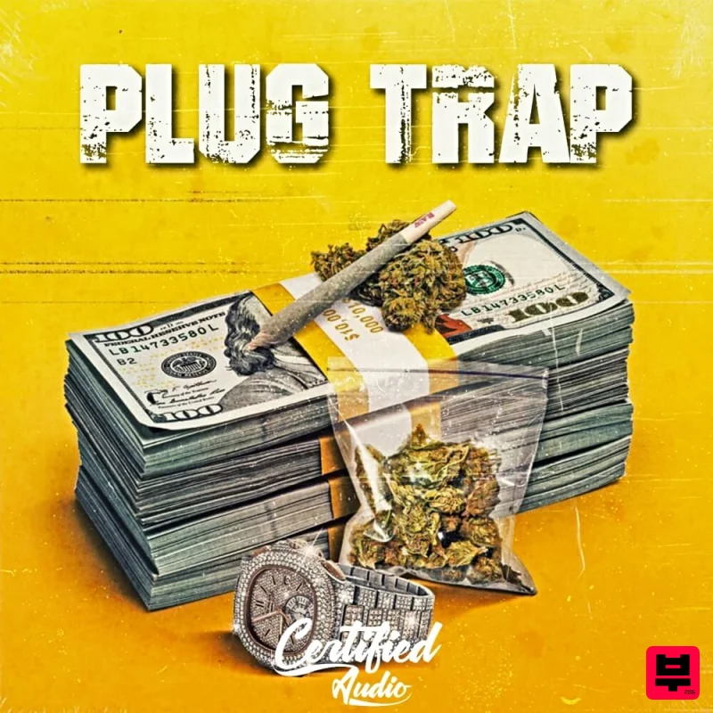 Certified Audio PLUG TRAP - Professional Music Instrument Photo