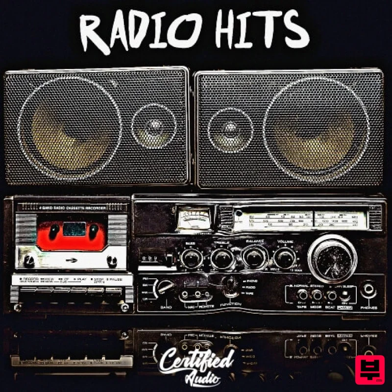 Certified Audio Radio Hits - Professional Music Instrument Photo