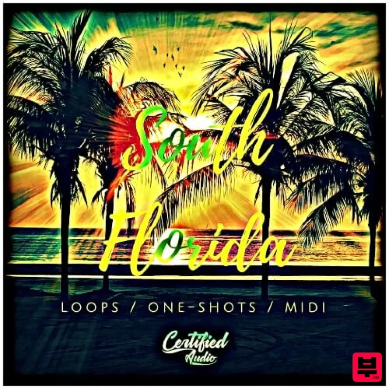 Certified Audio South Florida - Professional Music Instrument Photo