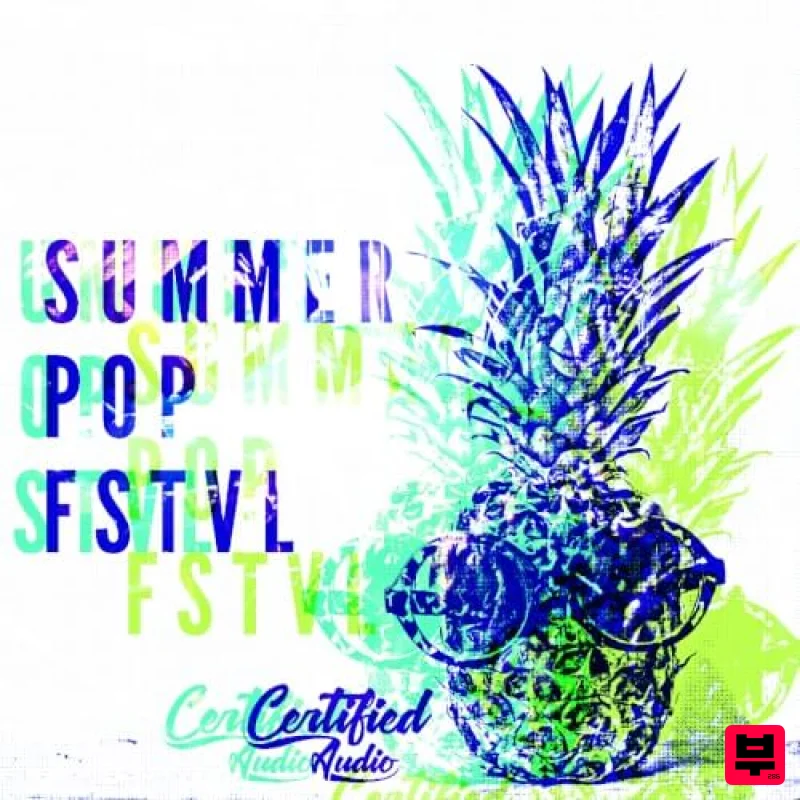 Certified Audio Summer Pop Fstvl - Professional Music Instrument Photo