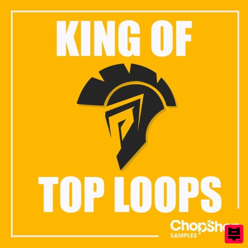 Chop Shop Samples King Of Top Loops - Tech House