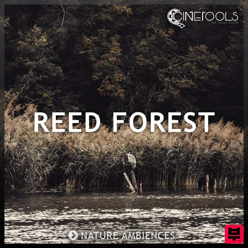 Cinetools Reed Forest - Cinematic