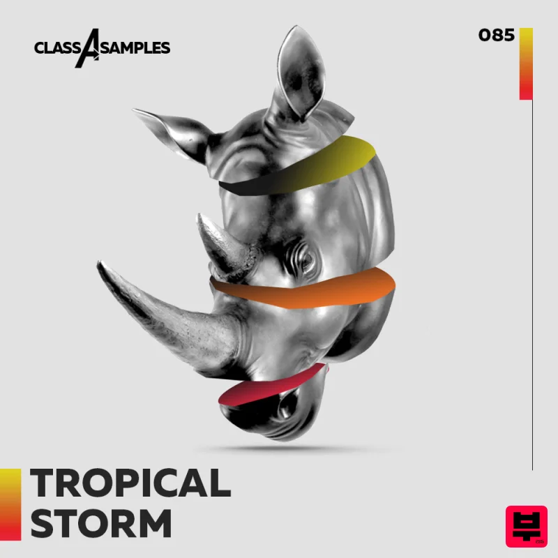 Class A Samples Tropical Storm - Tropical House