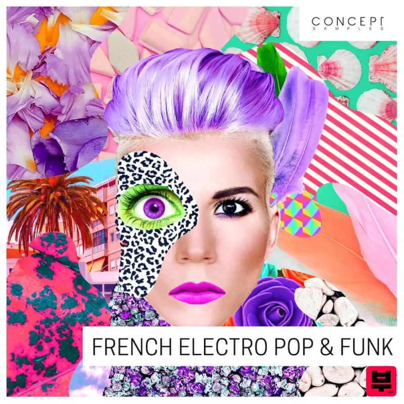 Concept Samples French Electro Pop & Funk - Electro