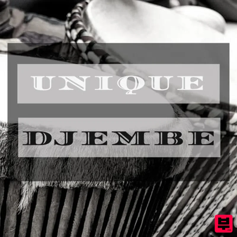 D-Fused Sounds Unique Djembe - House