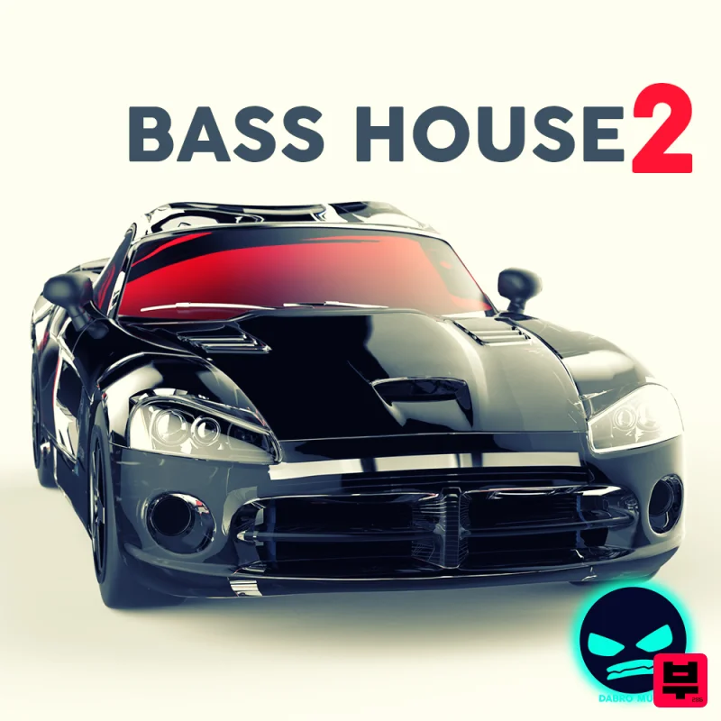 DABRO Music Bass House 2 - Professional Music Instrument Photo