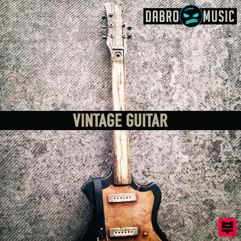 DABRO Music Vintage Guitar - Professional Music Instrument Photo