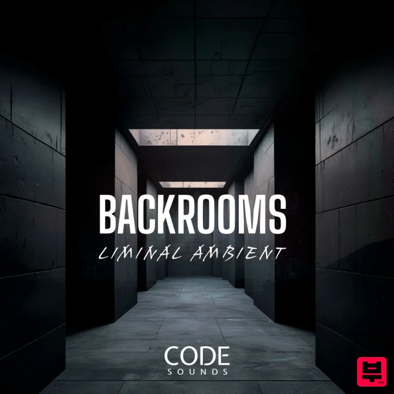 Datacode Code Sounds - Backrooms Liminal Ambient - Professional Music Instrument Photo