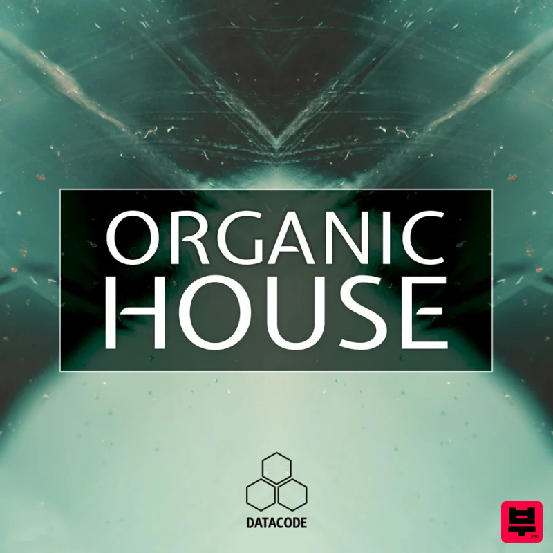 Datacode FOCUS: Organic House - House