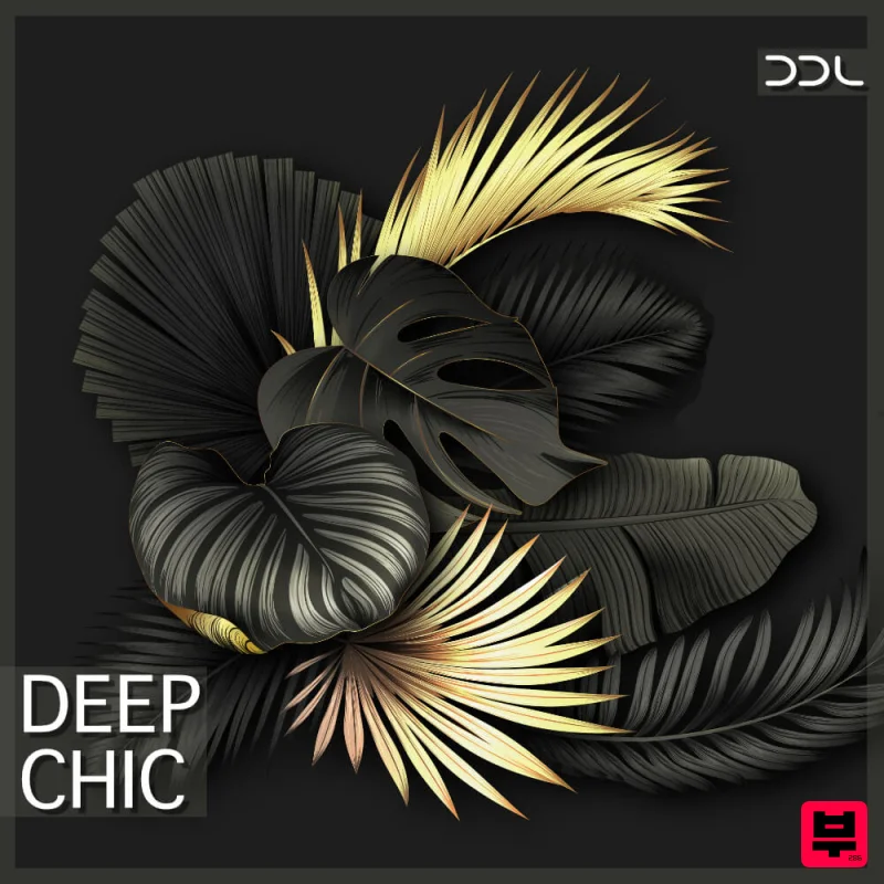 Deep Data Loops Deep Chic - Deep House