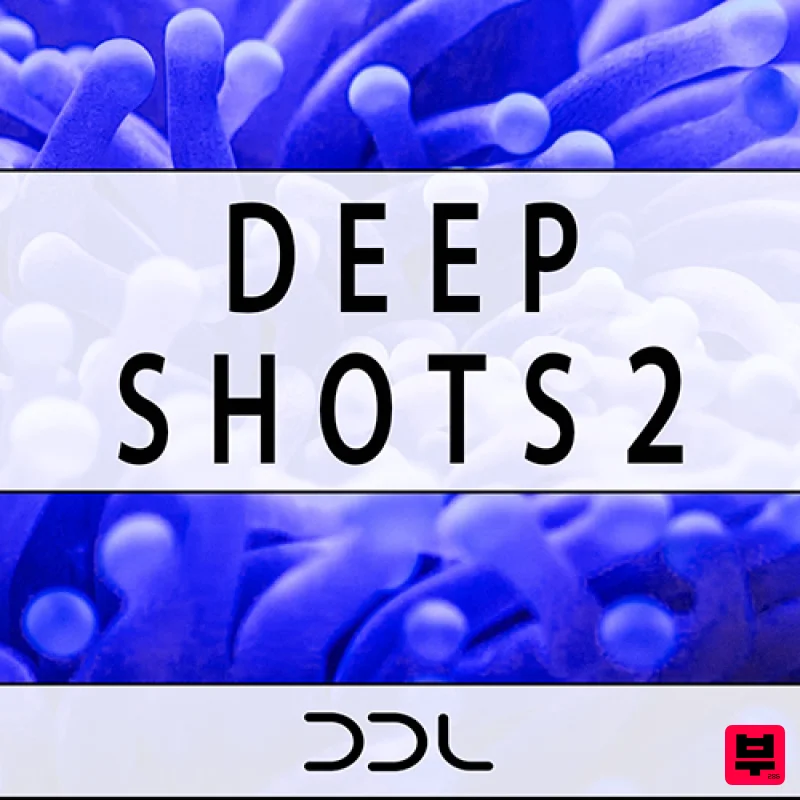 Deep Data Loops Deep Shots 2 - Professional Music Instrument Photo