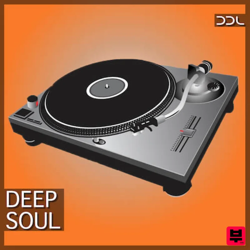 Deep Data Loops Deep Soul - Professional Music Instrument Photo