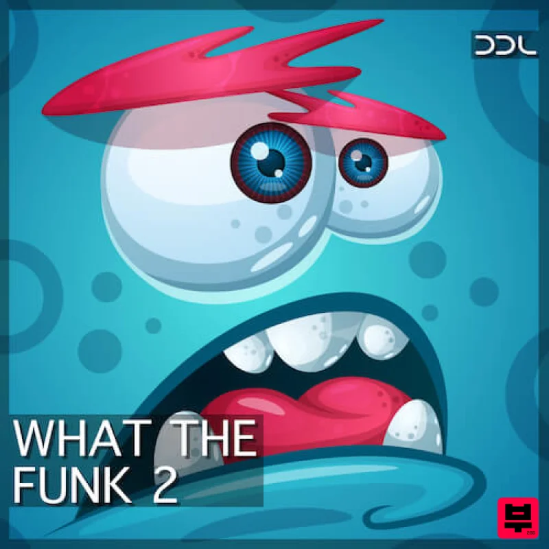 Deep Data Loops What The Funk 2 - Funk