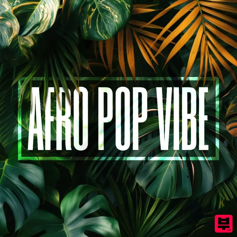 Diginoiz Afro Pop Vibe - Afrobeat