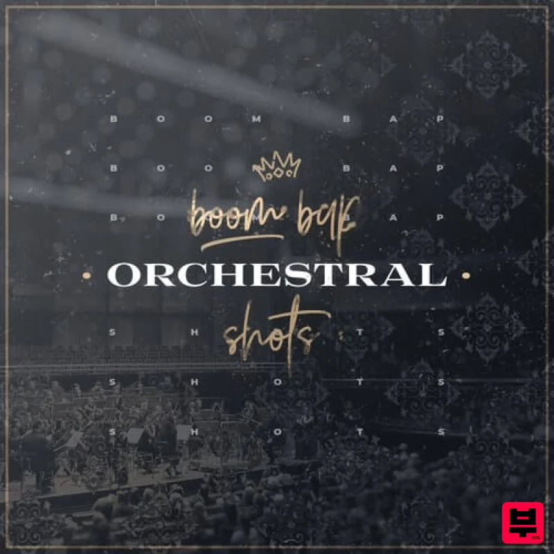 Diginoiz Boom Bap Orchestral Shots - Hip Hop