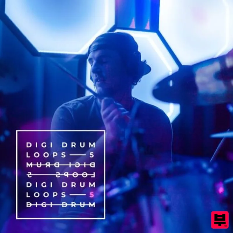 Diginoiz Digi Drum Loops 5 - R&B