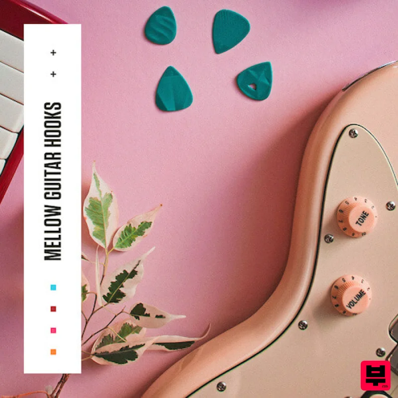 Diginoiz Mellow Guitar Hooks - Pop