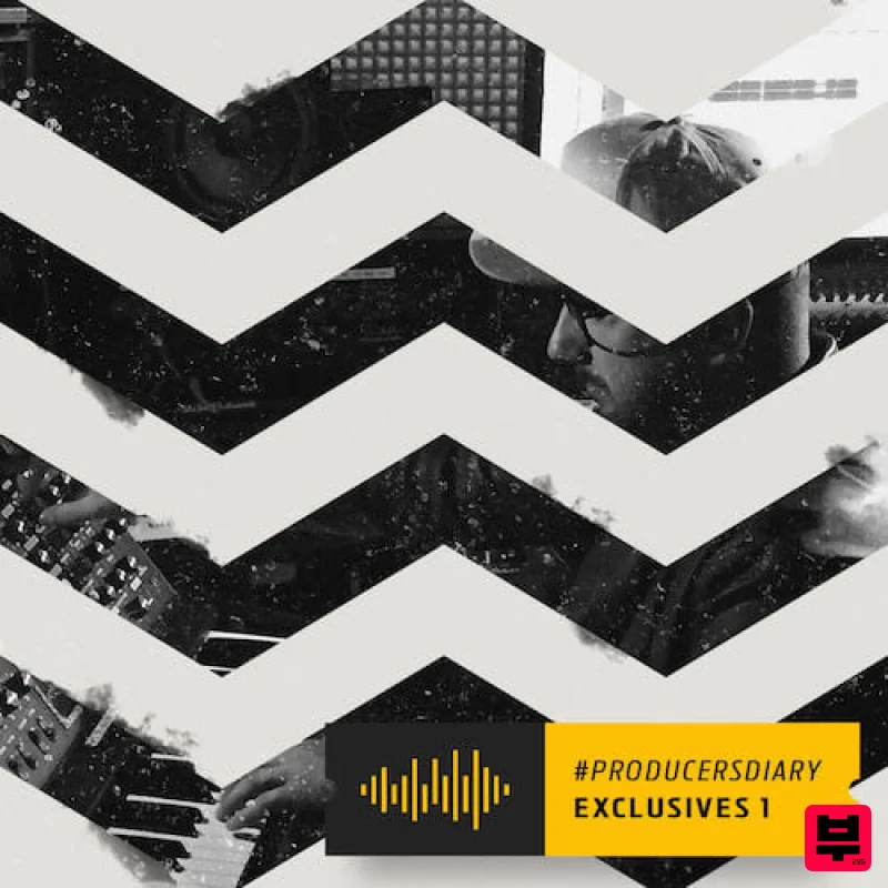 Diginoiz Producersdiary Exclusives 1 - R&B